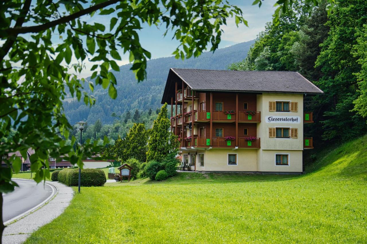 Pension Liesertalerhof Trebesing Exterior foto